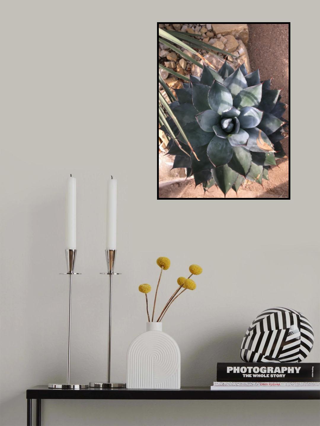 Tropica Poster och Canvastavla