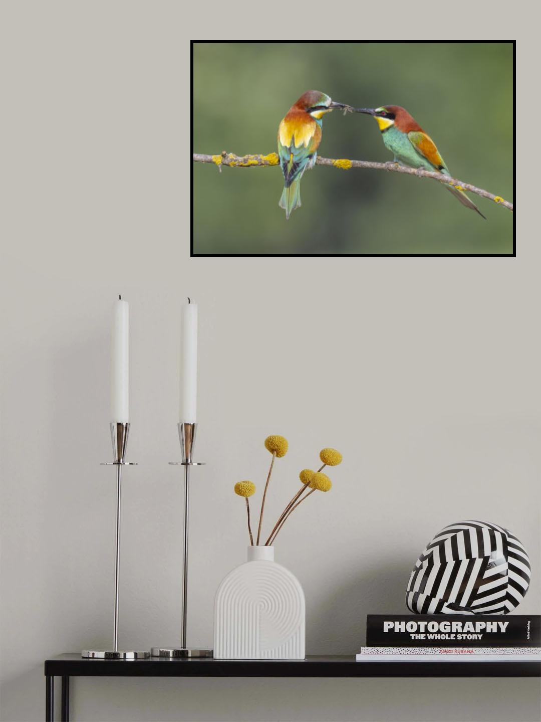 BEE-EATERS IN BREAKFAST Poster och Canvastavla