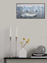 Have you seen here  big fish? Poster och Canvastavla
