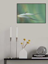 Dragon hunter... Poster och Canvastavla