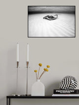 Stingray Poster och Canvastavla