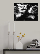 It's good to have a spin under the shade of a tree.....! Poster och Canvastavla