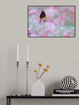 Beautiful Butterfly Poster och Canvastavla