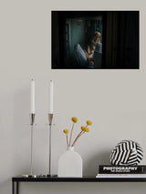 A journey by train 2 Poster och Canvastavla