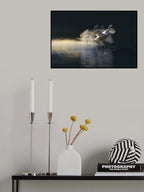 landing Poster och Canvastavla