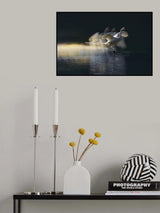 landing Poster och Canvastavla
