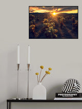 Kingdom Of Chola Poster och Canvastavla
