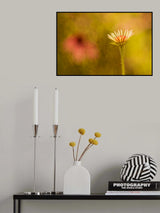 Flower Poster och Canvastavla