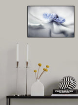 Anemone spirit Poster och Canvastavla