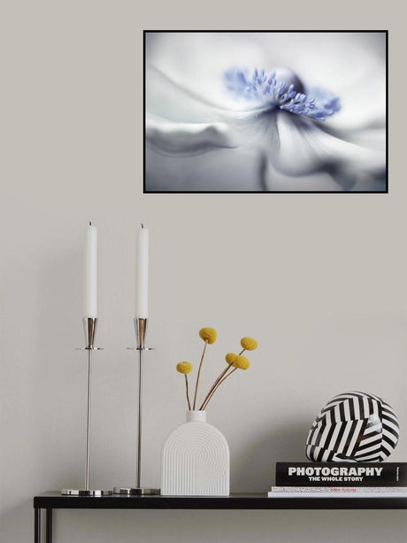 Anemone spirit Poster och Canvastavla