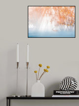 Deep in fog Poster och Canvastavla