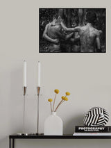 Spirit of togetherness Poster och Canvastavla