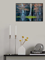 Autumn colors Poster och Canvastavla
