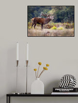 The scream of the deer Poster och Canvastavla