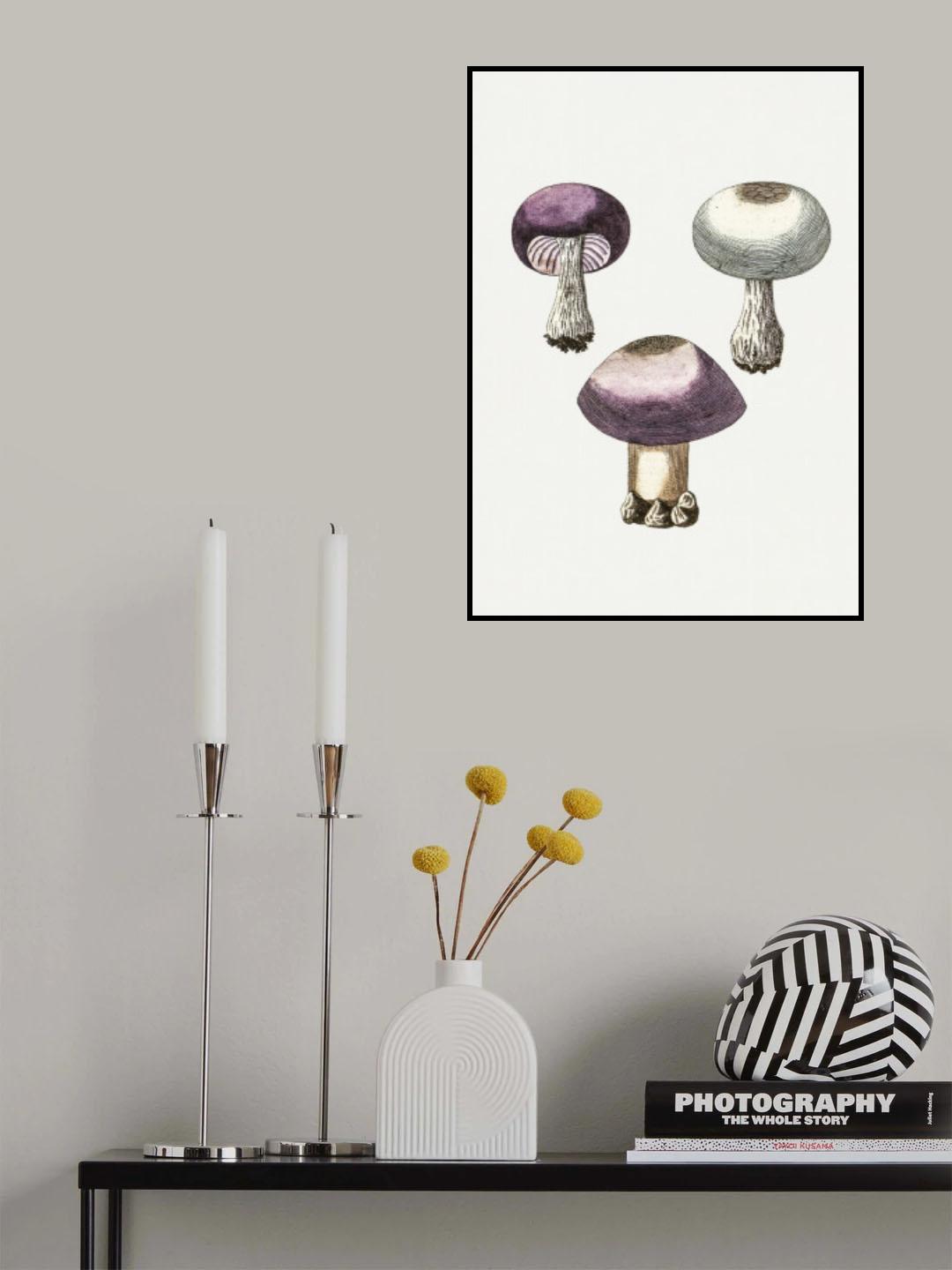 Hand Darwn Violet Webcap Mushroom Poster och Canvastavla