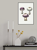 Hand Darwn Violet Webcap Mushroom Poster och Canvastavla