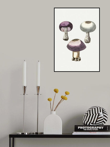 Hand Darwn Violet Webcap Mushroom Poster och Canvastavla