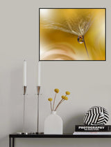 SunBeam...II Poster och Canvastavla