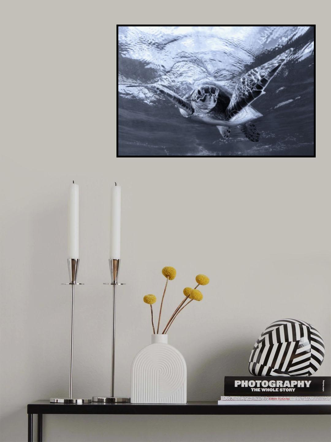 Chroma Poster och Canvastavla