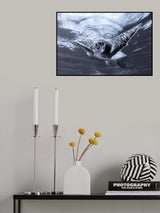 Chroma Poster och Canvastavla