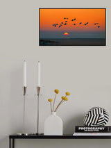 Red-crowned Cranes Poster och Canvastavla