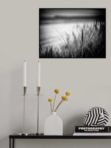 dune grass spot Poster och Canvastavla