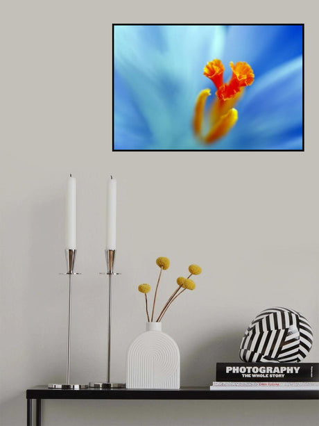 Summer sky Poster och Canvastavla