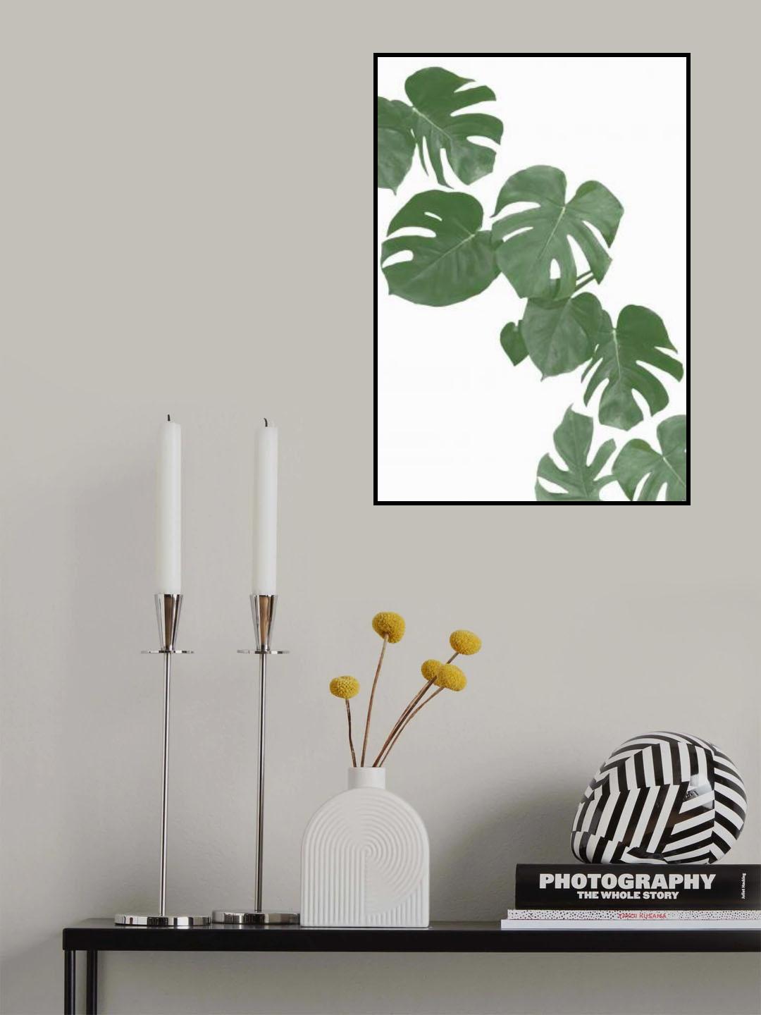 Monstera Aqua 02 Poster och Canvastavla
