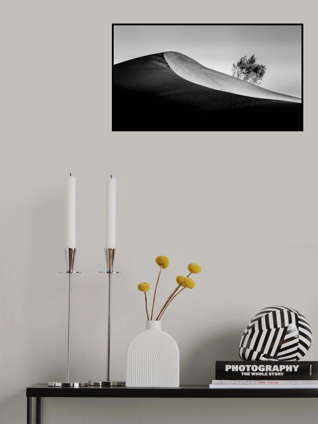 The Residents of Silence Poster och Canvastavla