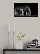 Merry Poster och Canvastavla