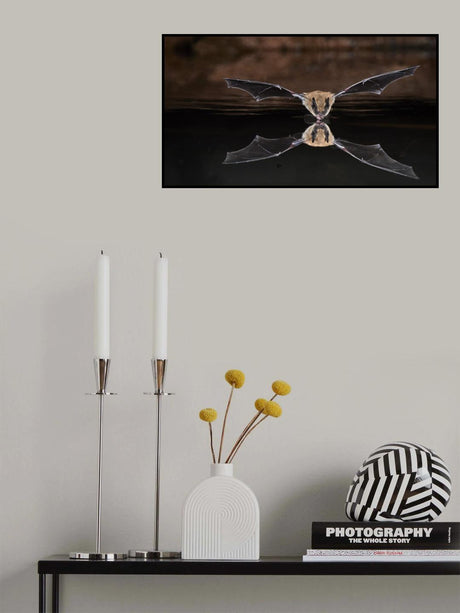 Drinking Bat Poster och Canvastavla