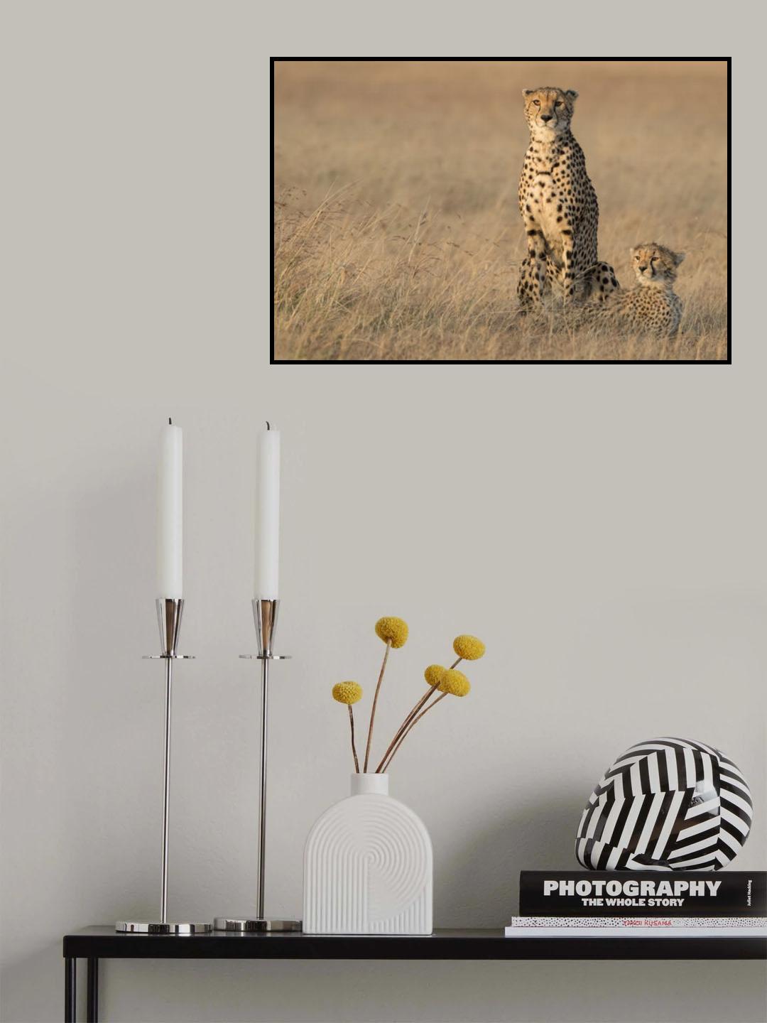 In the morning glow Poster och Canvastavla