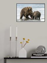 Poster och Canvastavla