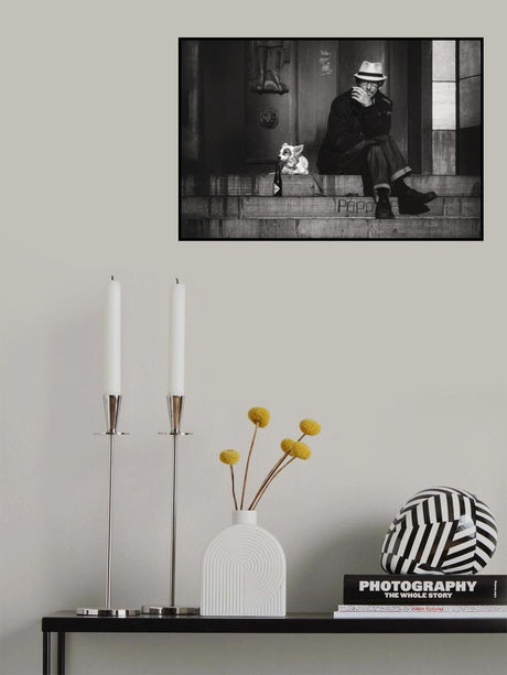 Lazing on a sunny afternoon Poster och Canvastavla