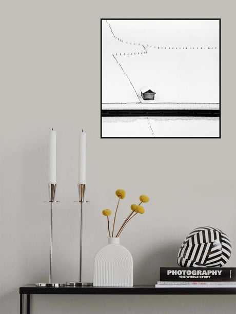 Isolated Poster och Canvastavla