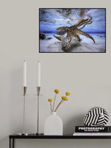Dancing Octopus Poster och Canvastavla