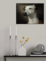 Waiting Poster och Canvastavla