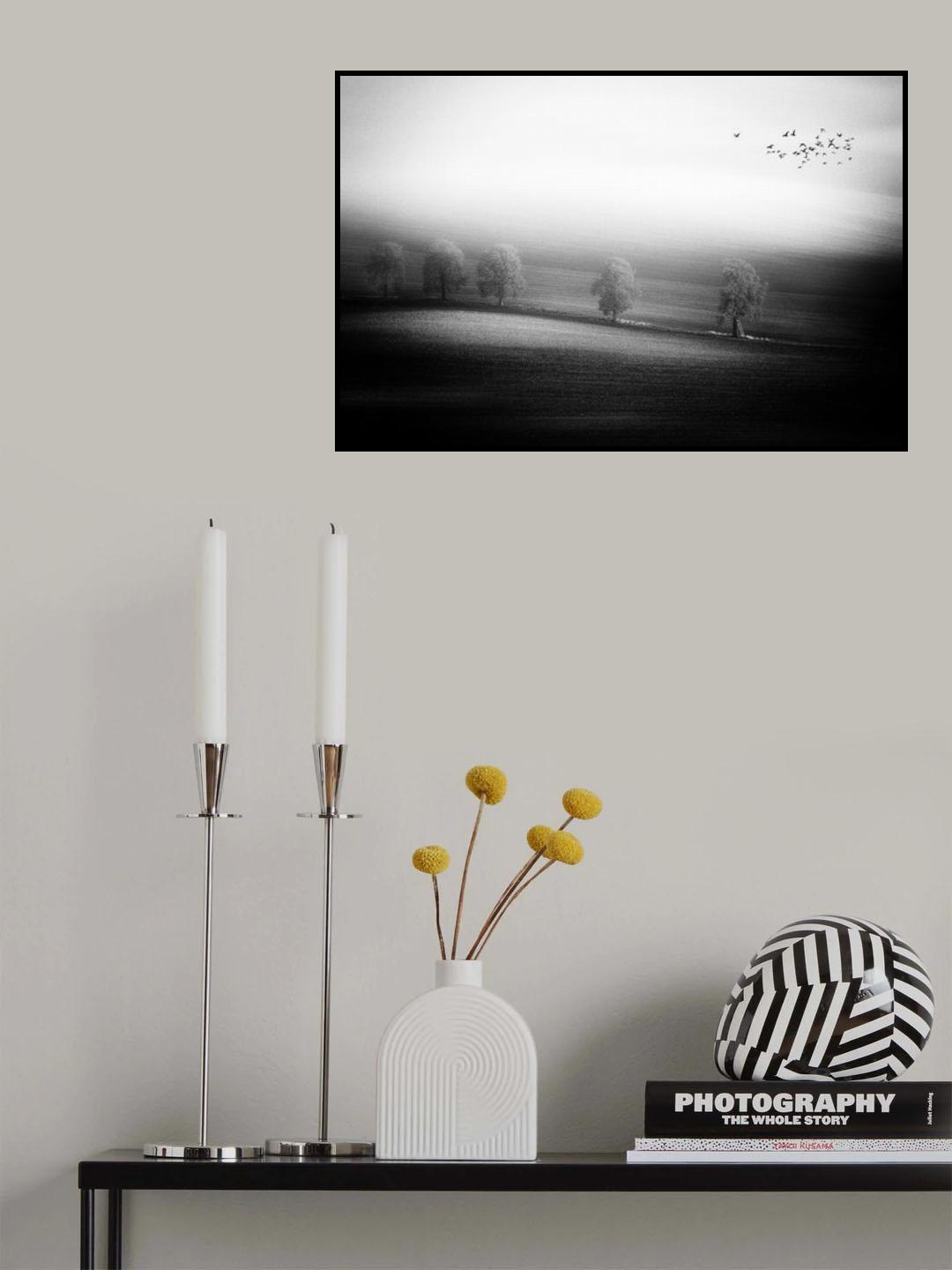 Black friday Poster och Canvastavla