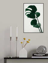 Monstera Natural 41 Poster och Canvastavla