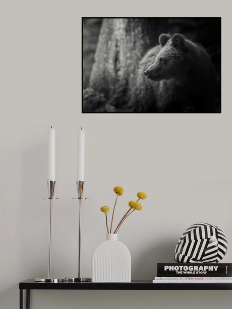Last light Poster och Canvastavla