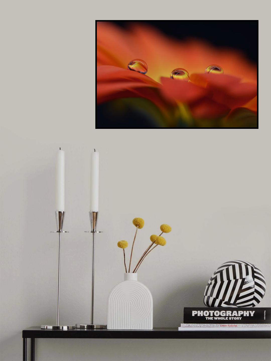 Triplets Poster och Canvastavla