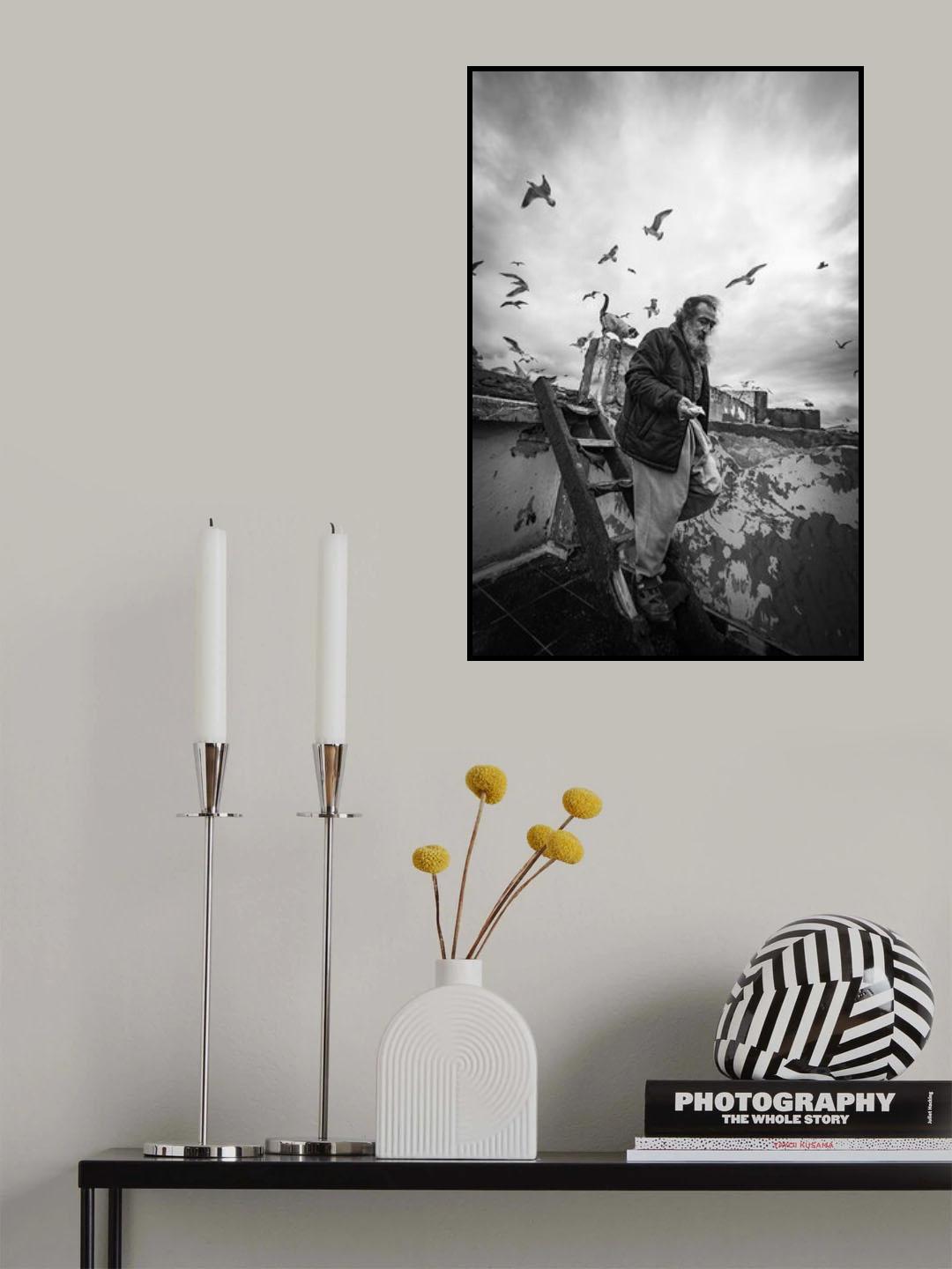 Man feeding seagulls Poster och Canvastavla