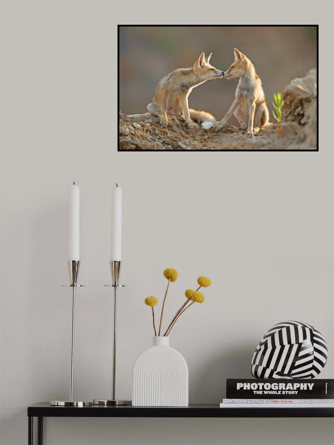 Foxes , Kiss Poster och Canvastavla