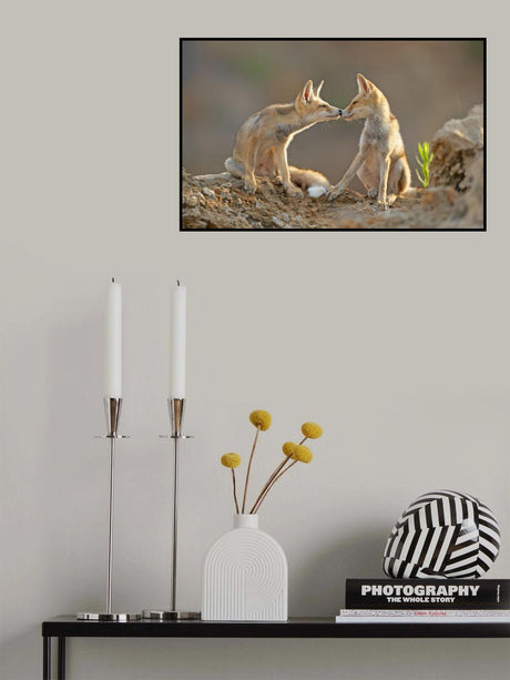 Foxes , Kiss Poster och Canvastavla