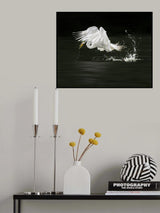 Catch and Run Poster och Canvastavla