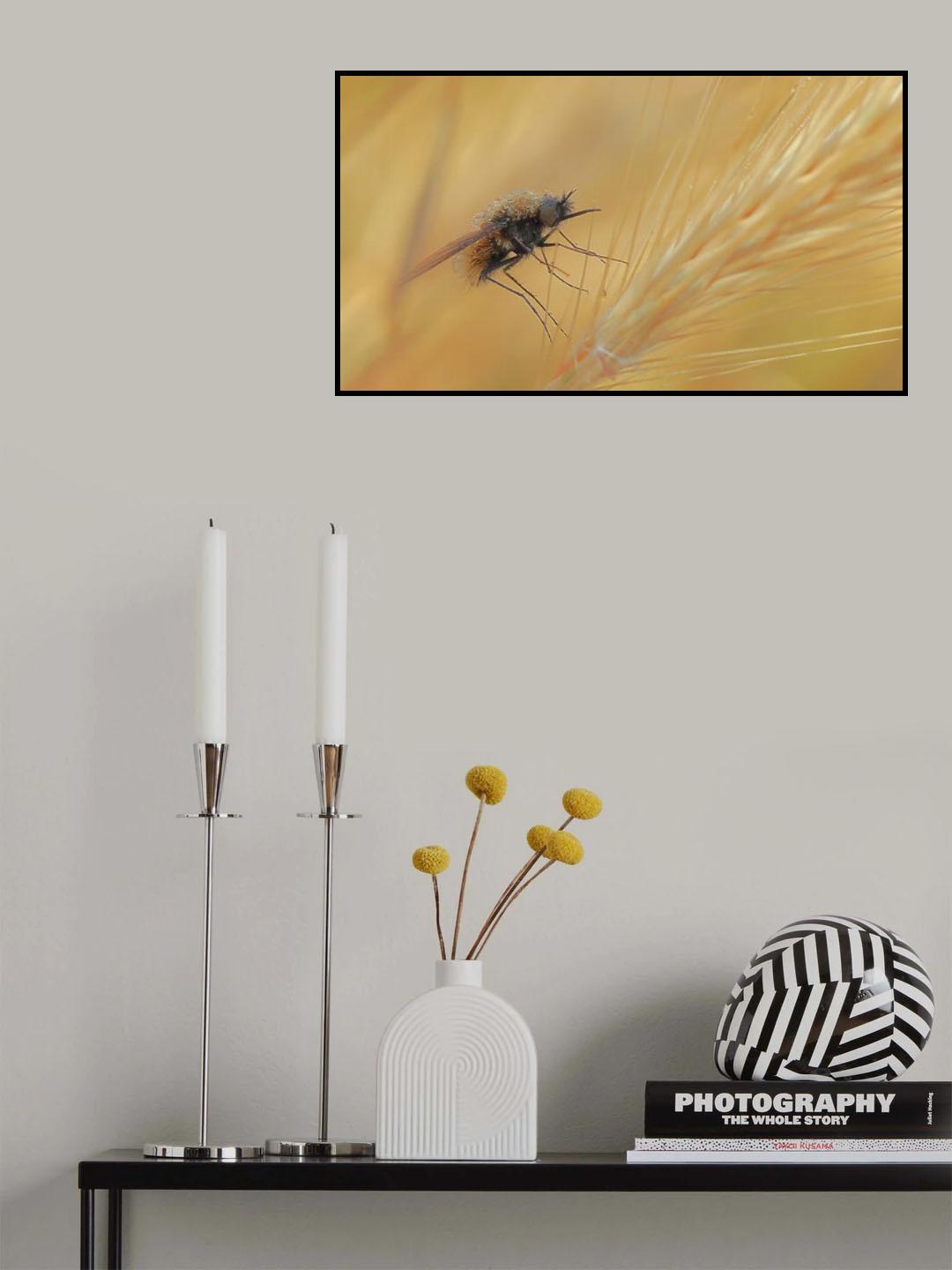 In the ears of wheat... Poster och Canvastavla