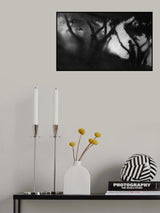 Light and darkness... Poster och Canvastavla