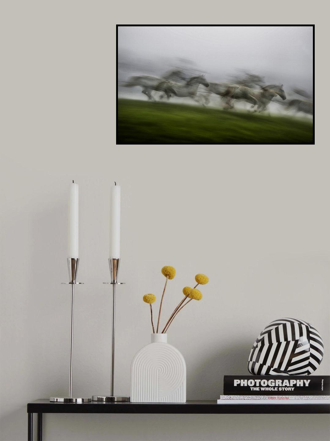 flying Poster och Canvastavla