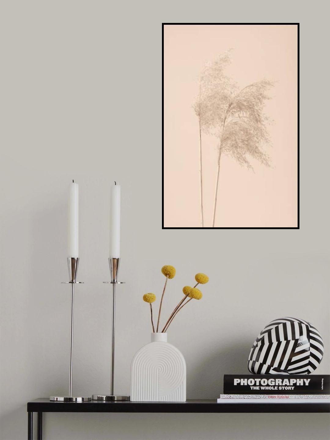 Reed Grass Beige 02 Poster och Canvastavla