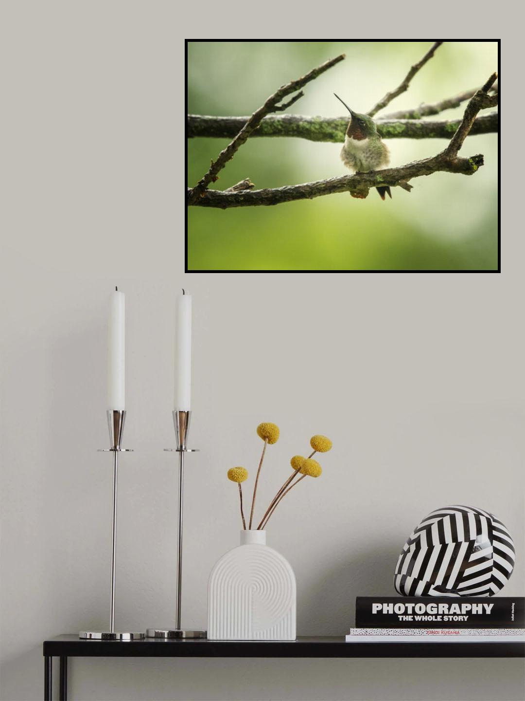 Poster och Canvastavla